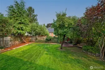 The large backyard,