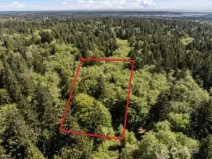 Gorgeous, expansive 1.8 acre lot with power and a shared well! Build your home today!