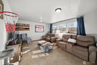 Lower level living area