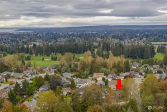 Beautiful neighbor hood w/ mature landscaping and street parking & sidewalks so it does not feel "tight & closed in".