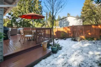 Backyard is fenced perfect for the fur babies