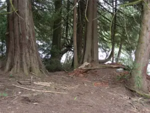 Nice little park area.