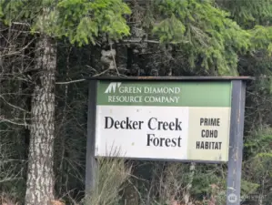 Forest accesses and public Satsop River launch