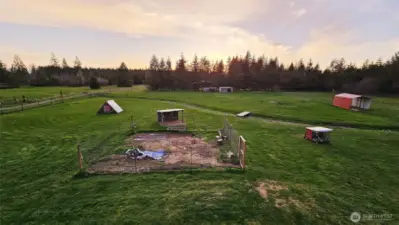 Chicken pens, Goat house and fenced critter yard. Two car port in field is great hay or equipment storage.
