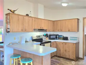 Kitchen with eating space