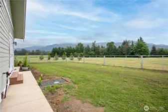 Fully fenced in back yard for your smaller furry friends!