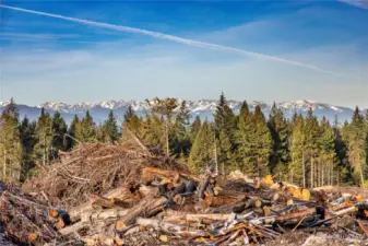 Olympic Mountain Views