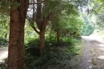 Trails and roads on the property