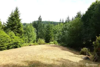 One of the clearings on the property
