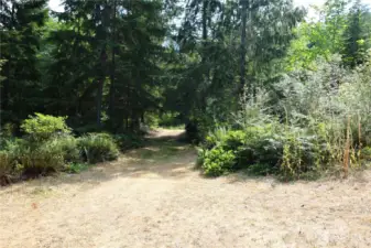 Clearing