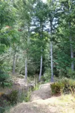 Seasonal stream on property