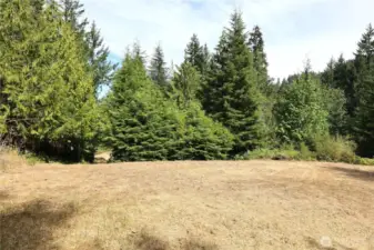 Another clearing on the property