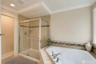 Close-up view of the spa-inspired bath showcasing the deep soaking tub, tiled shower with glass enclosure, and stylish accent trim. A perfect retreat for unwinding at the end of the day.