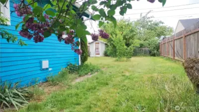 Very large side yard