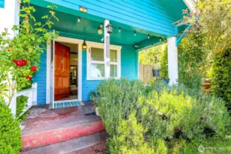 Camellia bush to the left with a rose bush and to the right is Rosemary