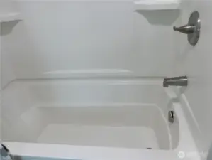 main bath tub