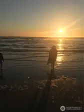 Life is better at the BEACH!