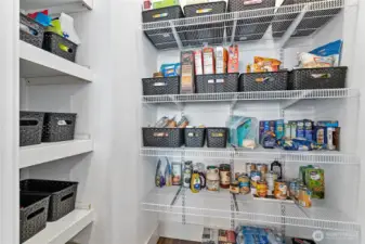 Plenty of shelving in walk in pantry