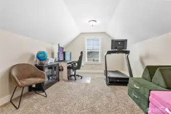 Bonus room for whatever you need extra space for!