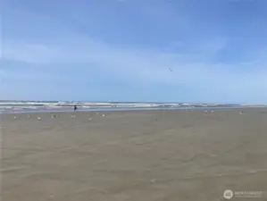 Come and enjoy the Pacific Ocean.  Great for razor clam digging and beach combing.