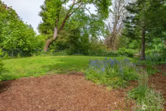 Fully Fenced Backyard