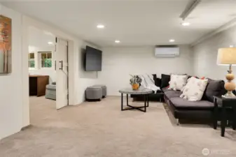 Lower level den. Note the mini-split for year round comfort.