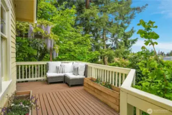 So much outdoor deck space.