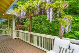 When the Wysteria is in bloom - it really sets off the wrap around deck.