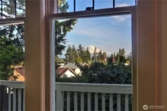 True, unobstructed views of Mt. Rainier out of the living room (on sunny days, of course).
