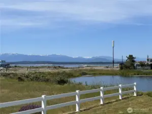 Views of the shipping lanes and Olympic Mts