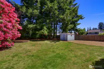 This tough-built shed has electricity, shelving and locking door. Do you see the low dark brown planting bed? It is waiting for your flowers! Already weeded and mulched, it's your pick! :)