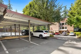 Parking Spot 163 is spot in forefront of photo, again, just a few steps from the entrance.