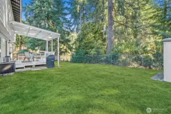 Expansive backyard framed by lush evergreens for added privacy.
