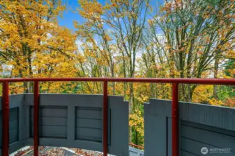 Small Julette balcony off of the primary bedroom