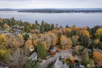 Fantastic Madrona location, just 3 blocks from Lake Washington.