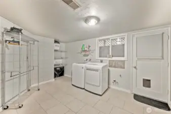 Lower level laundry