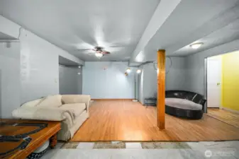 lower level living room.