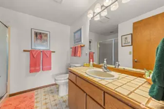 Lower level 3/4 bath