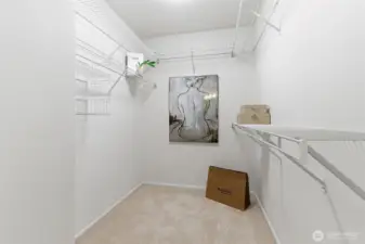 large walk-in closet ready for customizing
