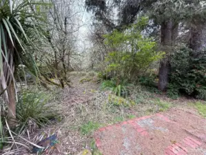 375 Dolphin Vacant lot