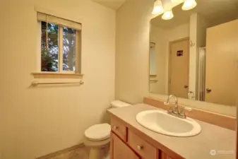 This is the downstairs bath with shower.