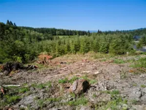 Homesite