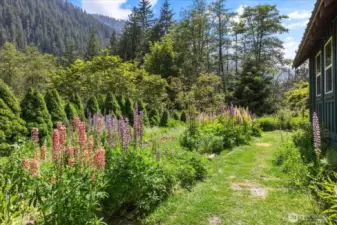 Lower gardens.
