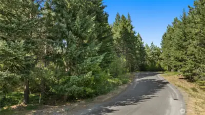 Street view of homesite