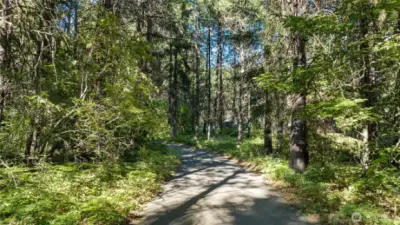 Walking/Biking Trails behind property
