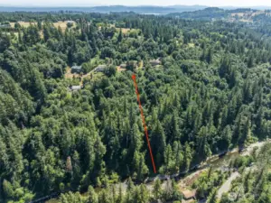 View - Wooded / Acreage