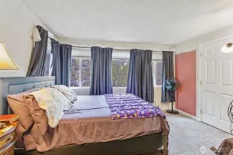 Huge primary with freestanding gas fireplace and en suite bath & walk in closet