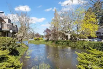 Coffee Creek