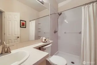 Primary bathroom with step in shower.
