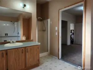 Another view of the primary bath